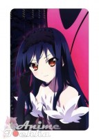 Accel World 29